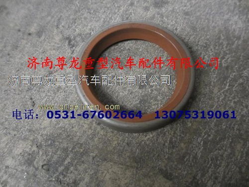 陕汽德龙油封 06.56279.029706.56279.0297图片