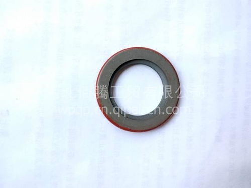 进口油封水泵油封3003353 价格、图片与配件厂家全解析
